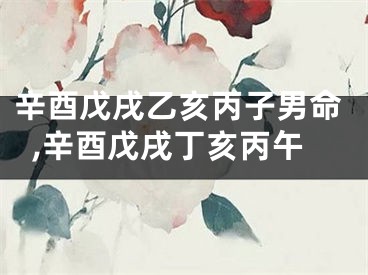 辛酉戊戌乙亥丙子男命,辛酉戊戌丁亥丙午