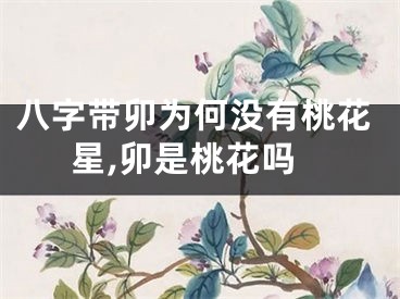八字带卯为何没有桃花星,卯是桃花吗