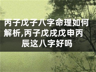 丙子戊子八字命理如何解析,丙子戊戌戊申丙辰这八字好吗
