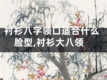 衬衫八字领口适合什么脸型,衬衫大八领