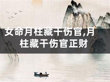 女命月柱藏干伤官,月柱藏干伤官正财