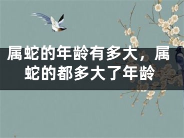属蛇的年龄有多大,属蛇的都多大了年龄