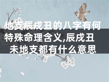 地支辰戌丑的八字有何特殊命理含义,辰戌丑未地支都有什么意思