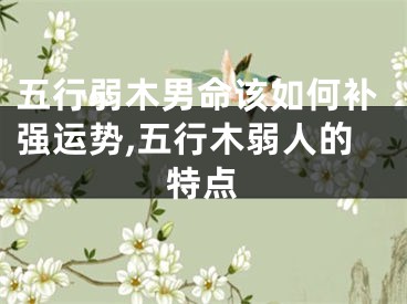 五行弱木男命该如何补强运势,五行木弱人的特点