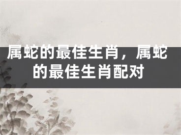 属蛇的最佳生肖，属蛇的最佳生肖配对