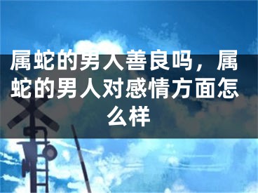 属蛇的男人善良吗，属蛇的男人对感情方面怎么样