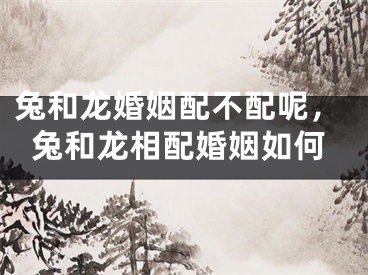 兔和龙婚姻配不配呢，兔和龙相配婚姻如何