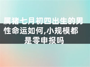 属猪七月初四出生的男性命运如何,小规模都是零申报吗