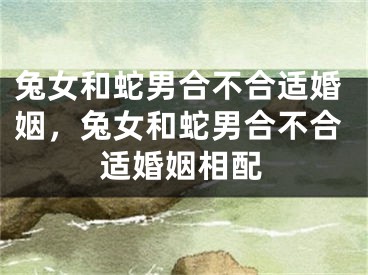 兔女和蛇男合不合适婚姻，兔女和蛇男合不合适婚姻相配