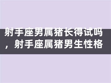 射手座男属猪长得试吗，射手座属猪男生性格