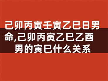 己卯丙寅壬寅乙巳日男命,己卯丙寅乙巳乙酉男的寅巳什么关系