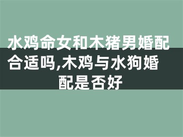 水鸡命女和木猪男婚配合适吗,木鸡与水狗婚配是否好