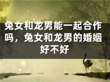 兔女和龙男能一起合作吗，兔女和龙男的婚姻好不好