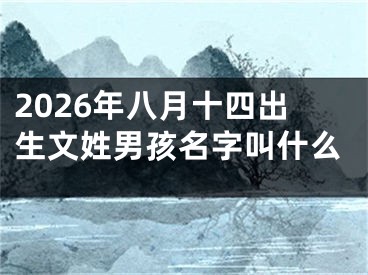 2026年八月十四出生文姓男孩名字叫什么