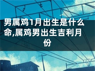 男属鸡1月出生是什么命,属鸡男出生吉利月份