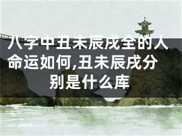 八字中丑未辰戌全的人命运如何,丑未辰戌分别是什么库