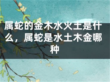 属蛇的金木水火土是什么，属蛇是水土木金哪种