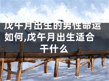 戊午月出生的男性命运如何,戊午月出生适合干什么