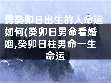 男癸卯日出生的人命运如何(癸卯日男命看婚姻,癸卯日柱男命一生命运