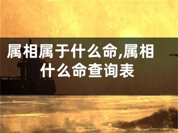 属相属于什么命,属相什么命查询表