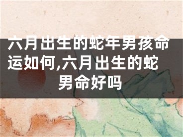 六月出生的蛇年男孩命运如何,六月出生的蛇男命好吗