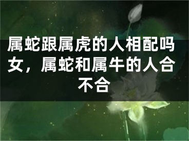 属蛇跟属虎的人相配吗女，属蛇和属牛的人合不合