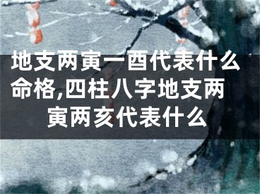 地支两寅一酉代表什么命格,四柱八字地支两寅两亥代表什么
