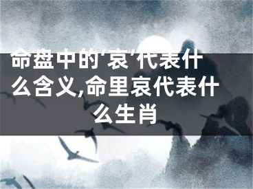 命盘中的‘哀’代表什么含义,命里哀代表什么生肖