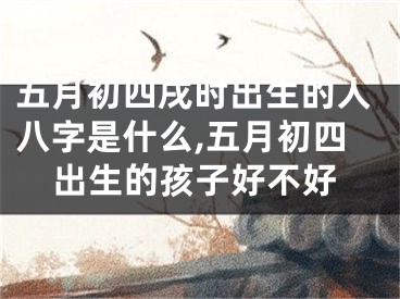 五月初四戌时出生的人八字是什么,五月初四出生的孩子好不好