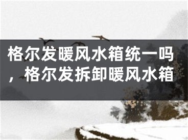 格尔发暖风水箱统一吗，格尔发拆卸暖风水箱