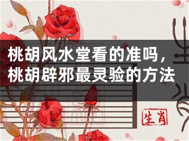 桃胡风水堂看的准吗，桃胡辟邪最灵验的方法