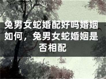 兔男女蛇婚配好吗婚姻如何，兔男女蛇婚姻是否相配