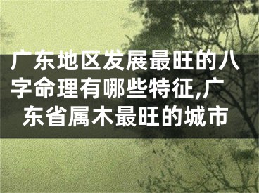 广东地区发展最旺的八字命理有哪些特征,广东省属木最旺的城市