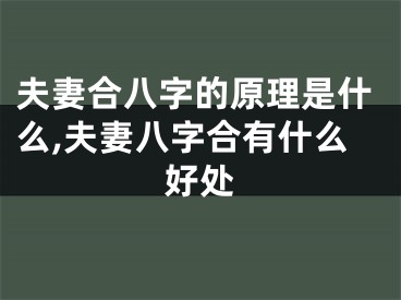 夫妻合八字的原理是什么,夫妻八字合有什么好处