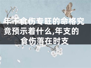 年干食伤专旺的命格究竟预示着什么,年支的食伤落在时支