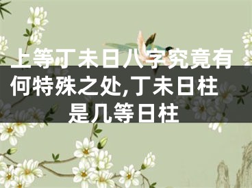 上等丁未日八字究竟有何特殊之处,丁未日柱是几等日柱