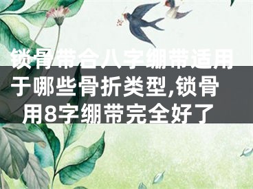 锁骨带合八字绷带适用于哪些骨折类型,锁骨用8字绷带完全好了