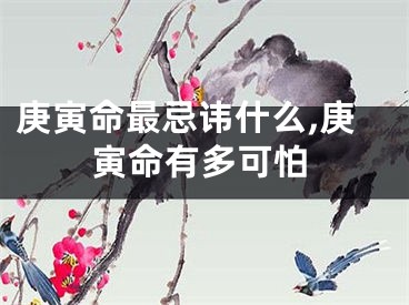 庚寅命最忌讳什么,庚寅命有多可怕