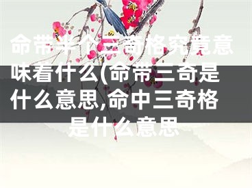 命带半个三奇格究竟意味着什么(命带三奇是什么意思,命中三奇格是什么意思