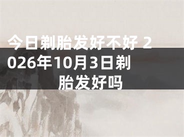 今日剃胎发好不好 2026年10月3日剃胎发好吗