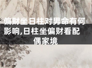 偏财坐日柱对男命有何影响,日柱坐偏财看配偶家境