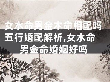 女水命男金木命相配吗五行婚配解析,女水命男金命婚姻好吗