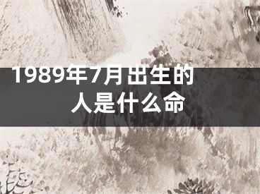 1989年7月出生的人是什么命