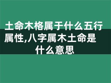 土命木格属于什么五行属性,八字属木土命是什么意思