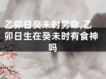 乙卯日癸未时男命,乙卯日生在癸未时有食神吗