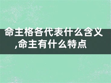 命主格各代表什么含义,命主有什么特点