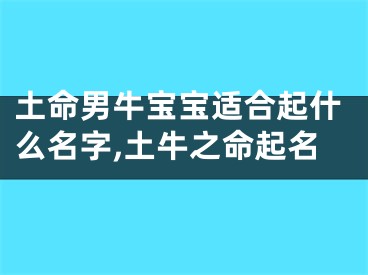 土命男牛宝宝适合起什么名字,土牛之命起名