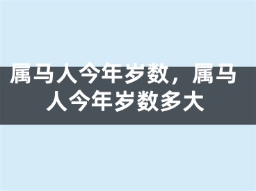 属马人今年岁数，属马人今年岁数多大