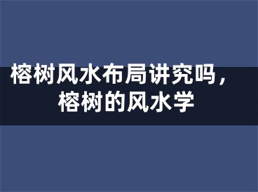 榕树风水布局讲究吗，榕树的风水学