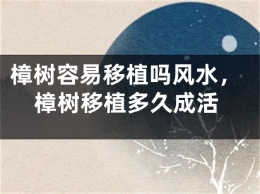 樟树容易移植吗风水，樟树移植多久成活